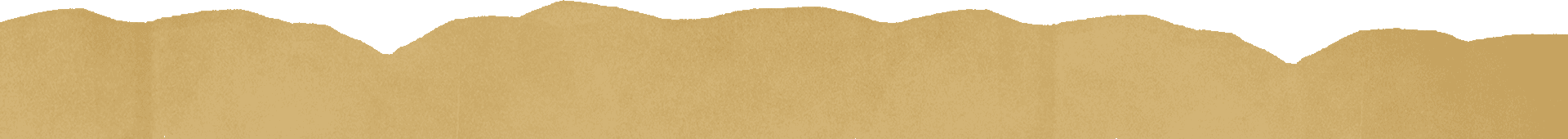 Plan Image